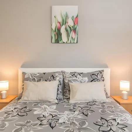Motovunska 39 Apartman